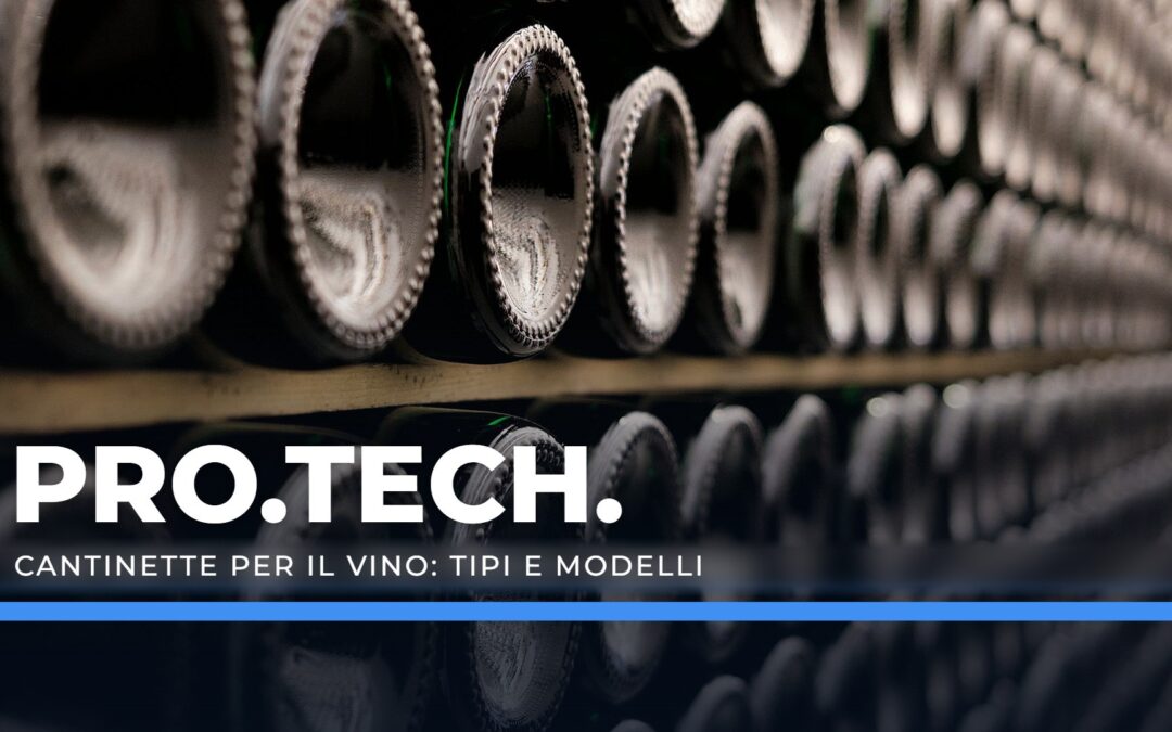 Cantinette per il vino: tipi e modelli – Professional Technology