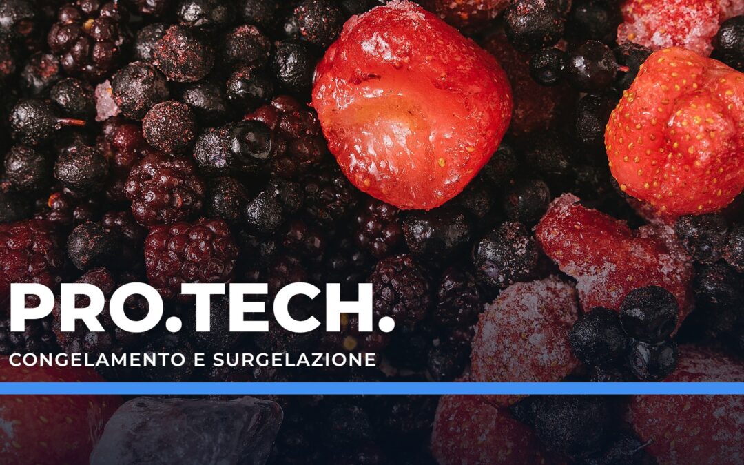 Congelamento e surgelazione – Professional Technology
