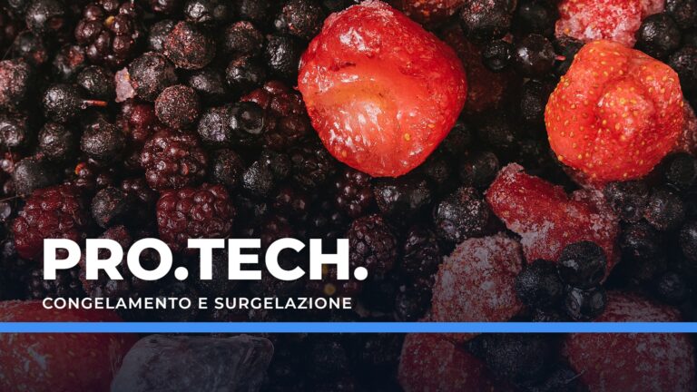 Conservazione a basse temperature: congelamento e surgelazione