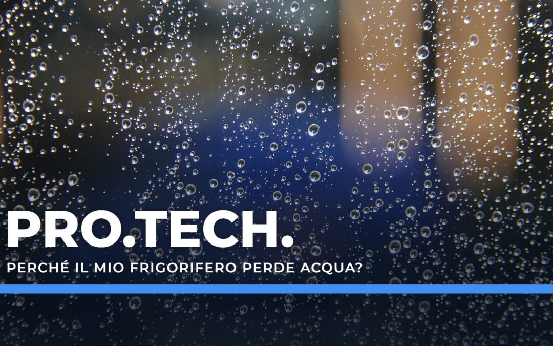 Perché il mio frigorifero perde acqua? – Professional Technology