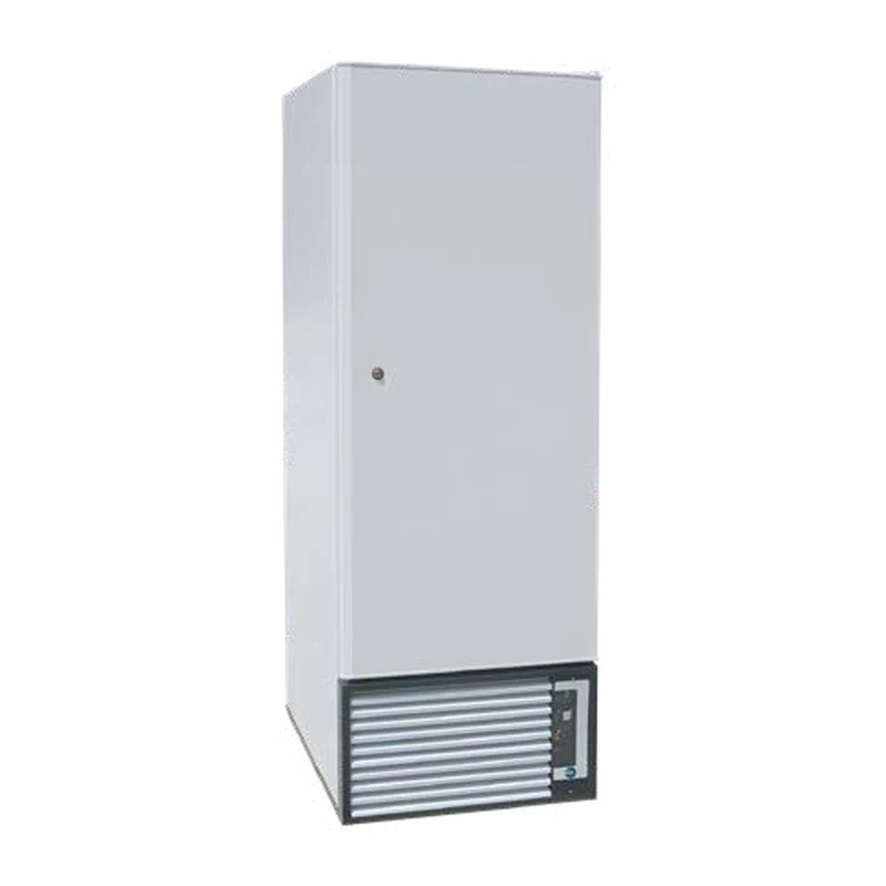 Armadio verticale per surgelati IARP AB 700 N