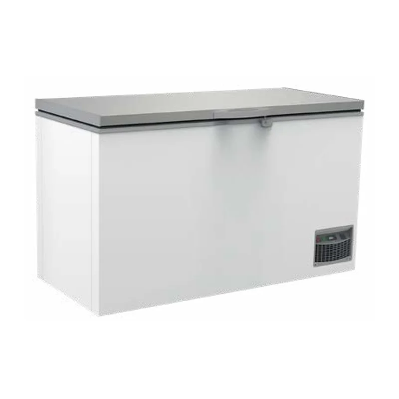 Congelatore a pozzetto