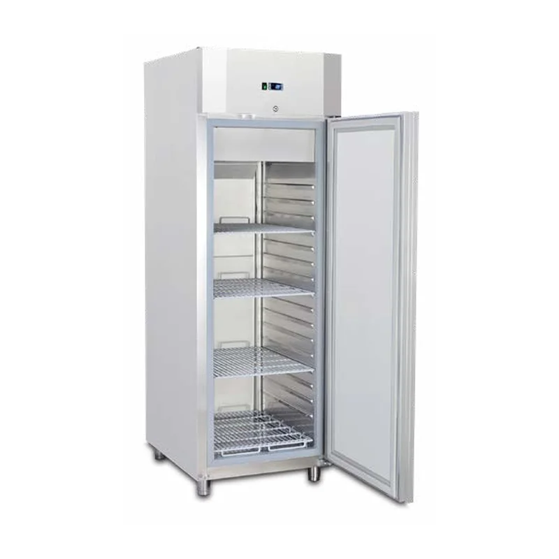 Armadio verticale per surgelati IARP STOK 701 N